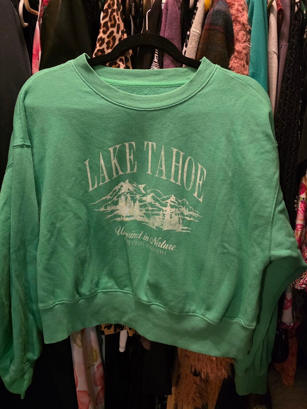 Old Navy Lake Tahoe Graphic Crewneck - Mint Green